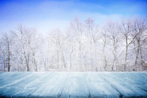 Camino de invierno —  Fotos de Stock