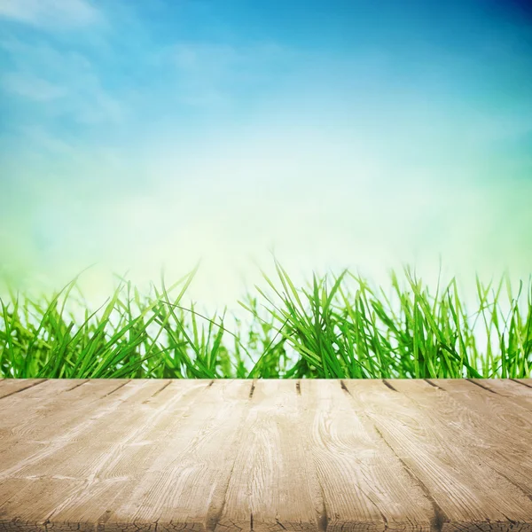 Spring sunny field — Stock Photo, Image