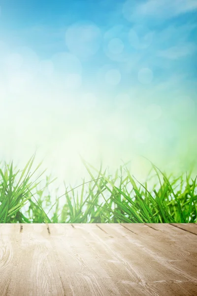 Spring sunny field — Stock Photo, Image