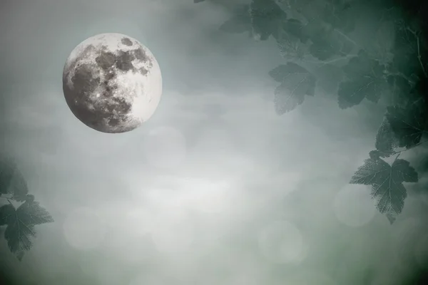 Moonlight in meadow in fog — Stock Photo, Image