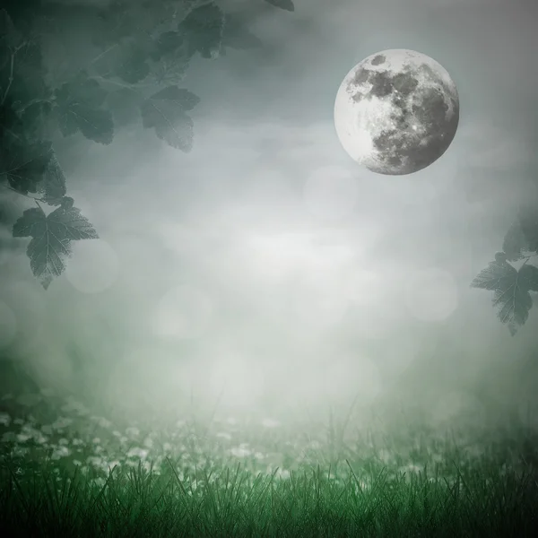 Moonlight in meadow in fog — Stock Photo, Image