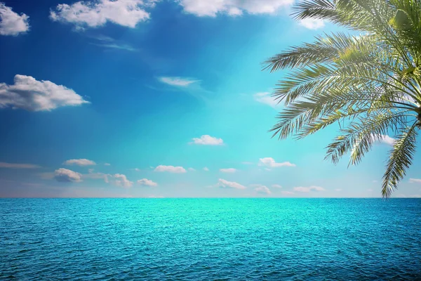 Beautiful sea view — Stock Photo, Image