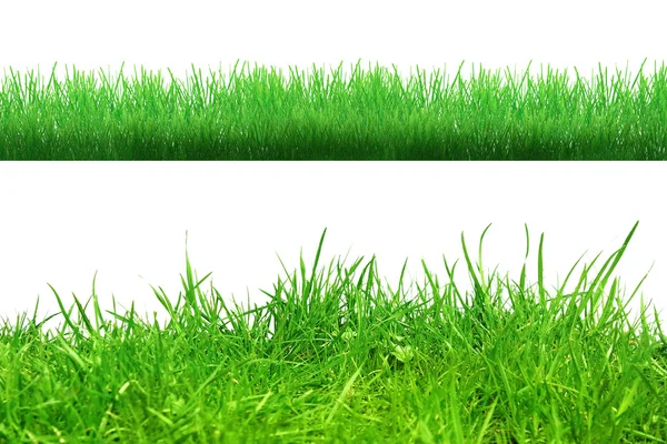 Grass in bodem geïsoleerd — Stockfoto