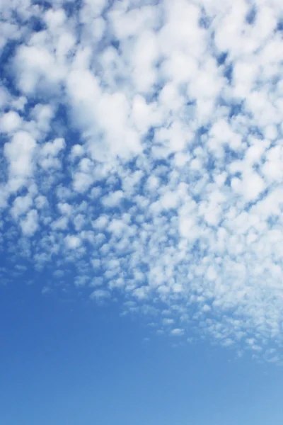 Cielo azul atardecer — Foto de Stock