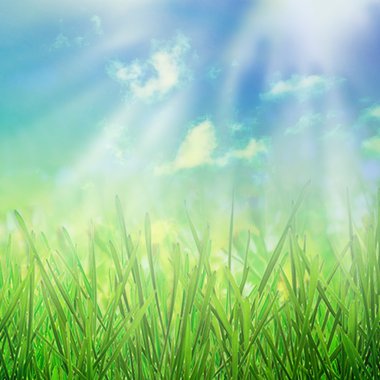 Spirng büyüyen doğa