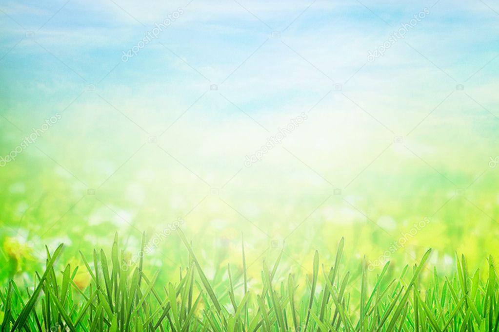 Spring field and butterfly