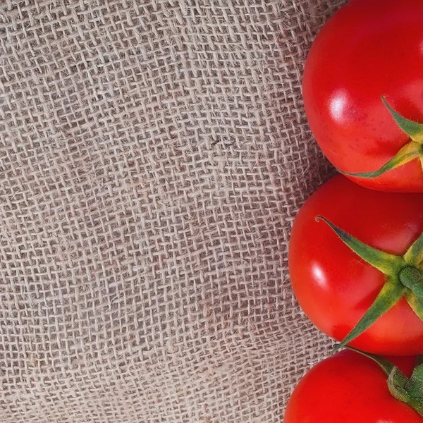 Branch of tomatoes on sacking material — Stock Photo, Image