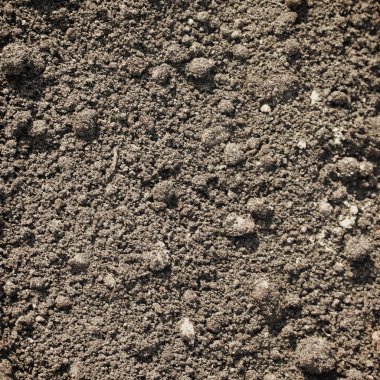 Büyüme kavramı toprak