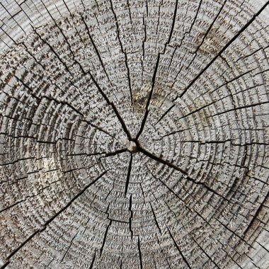 Eski Ahşap Arkaplan