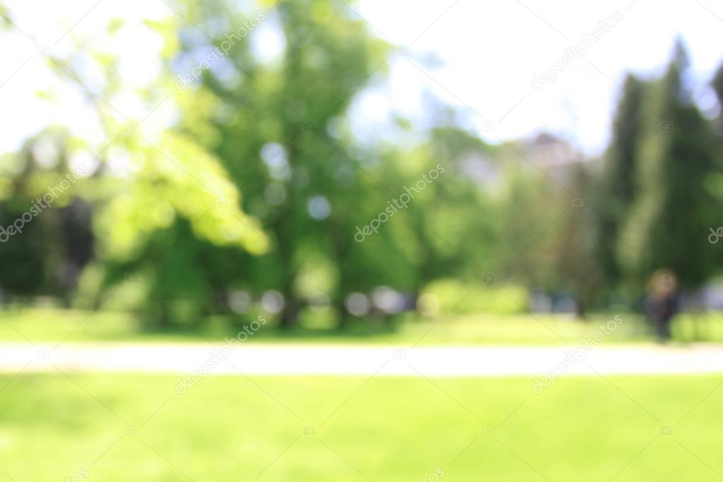 Park of trees in blur