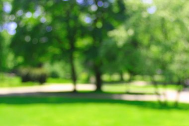 Güneşli yaz Park bokeh