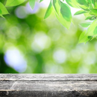 parkta çayır çimen