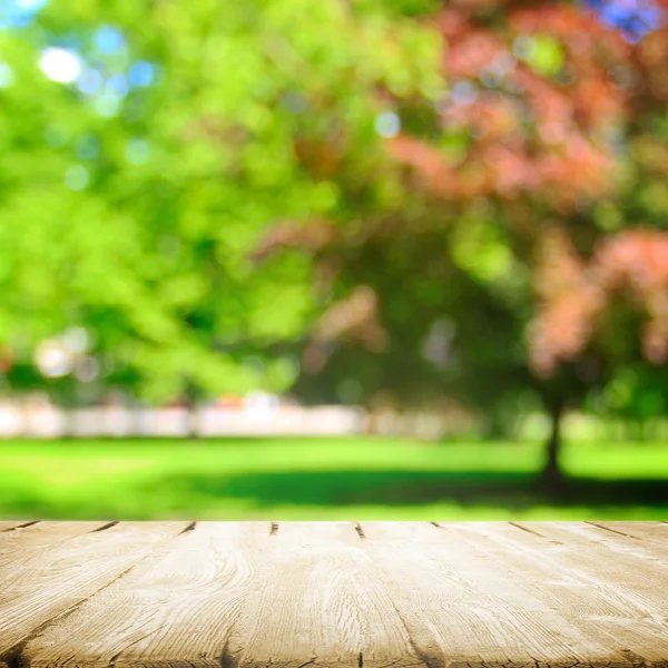 Grass meadow in the park — Stock Photo, Image