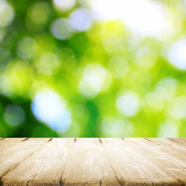 Grass meadow in the park — Stock Photo, Image