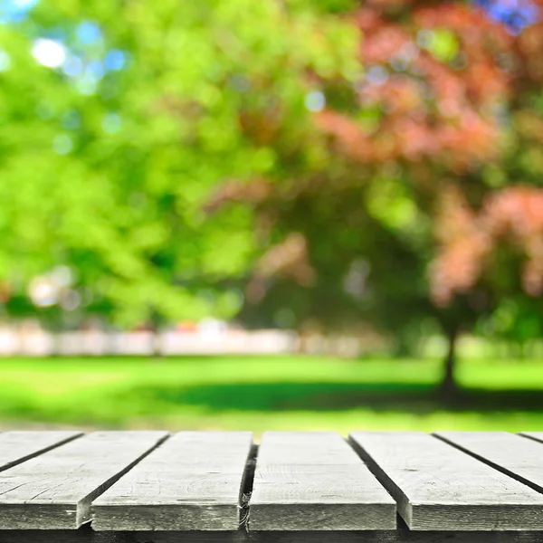 Grass meadow in the park — Stock Photo, Image