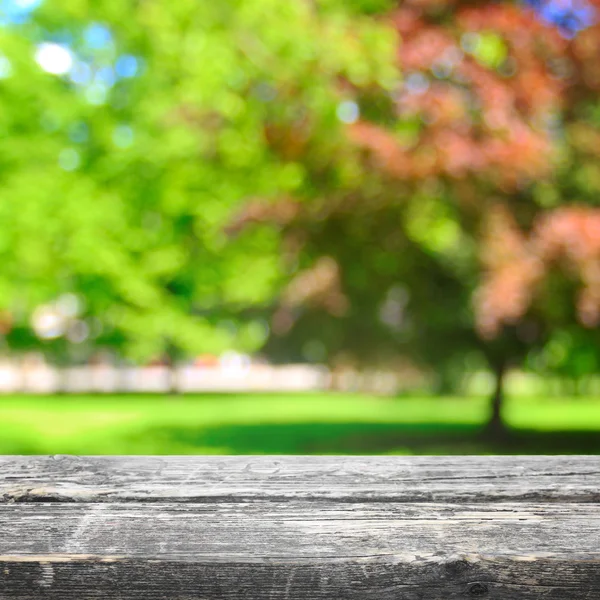 Graswiese im Park — Stockfoto