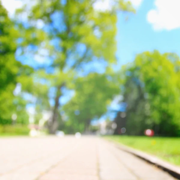 Parc avec herbe fraîche en été — Photo