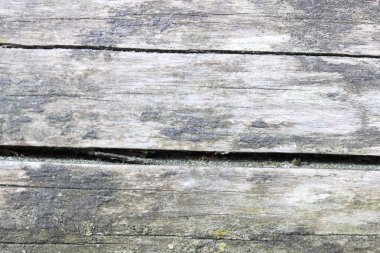 gri ahşap arka plan