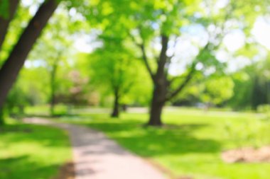 Yaz aylarında taze ot ile Park