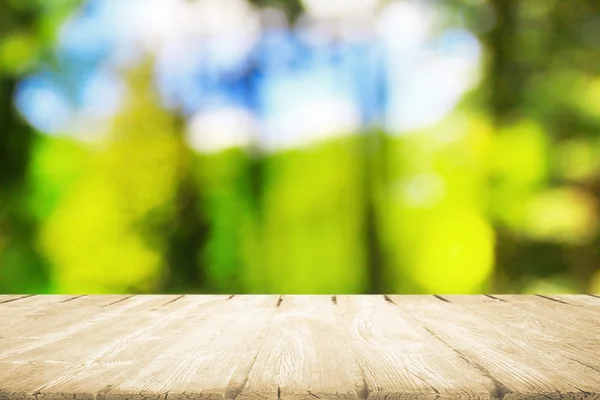 Forest picnic  in sunlight as background — Stock Photo, Image