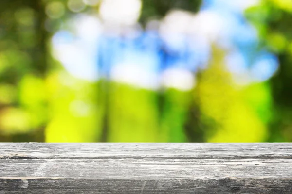 Picnic nella foresta alla luce del sole come sfondo — Foto Stock