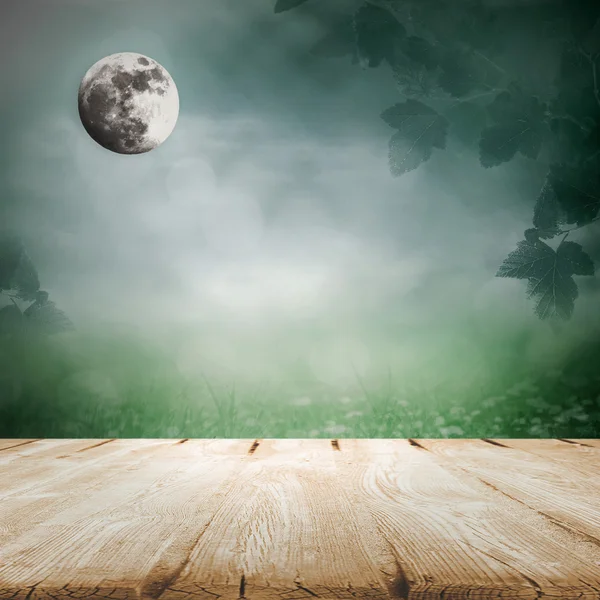 Moonlight in meadow in fog — Stock Photo, Image