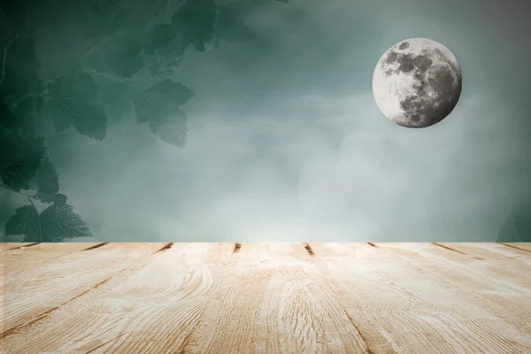 Лунный свет на лугу в тумане — стоковое фото
