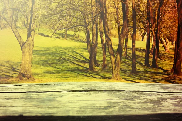 Parque na temporada de outono e mesa de piquenique — Fotografia de Stock