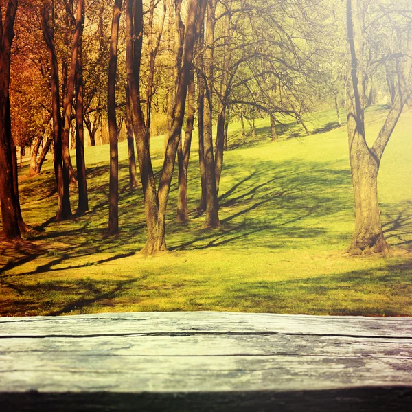 Parque na temporada de outono e mesa de piquenique — Fotografia de Stock