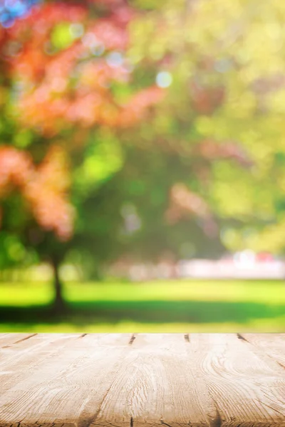 Autumn in park — Stock Photo, Image