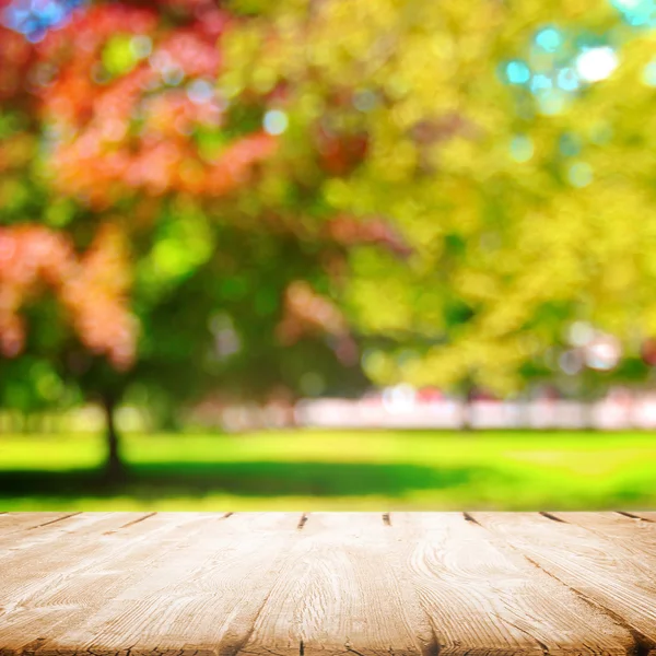 Autumn in park — Stock Photo, Image