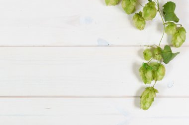 Beyaz artalanları hop