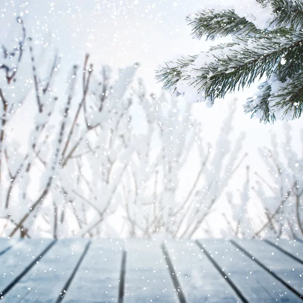 Cena de inverno — Fotografia de Stock