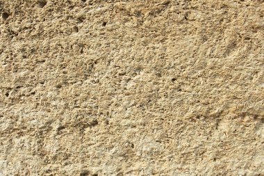 Heather çiçek ahşap üzerine