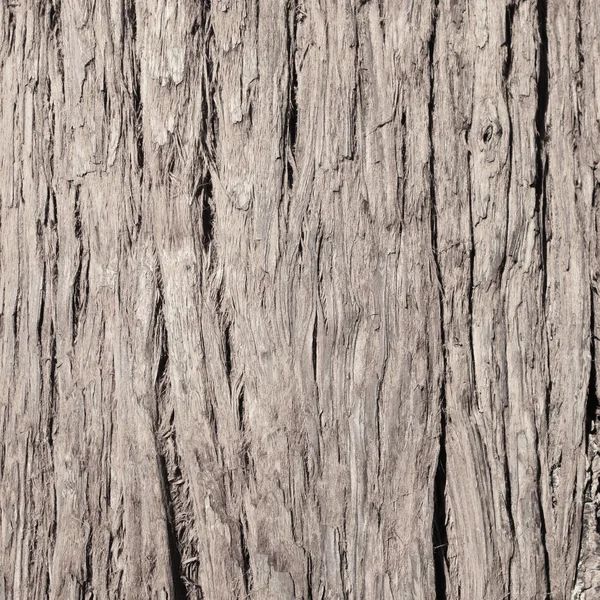 Як поверхні деревини — стокове фото