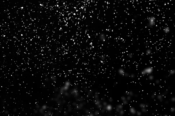 Padającego śniegu zimą — Zdjęcie stockowe