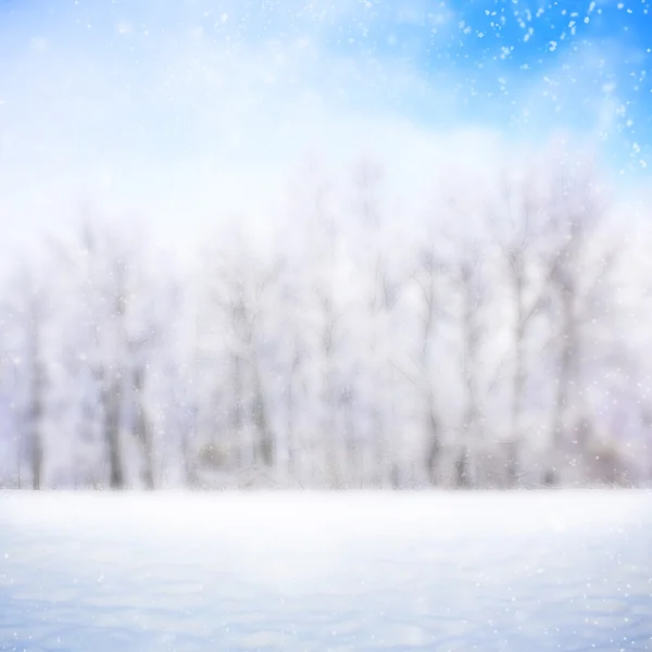 Vinter scen i snö — Stockfoto