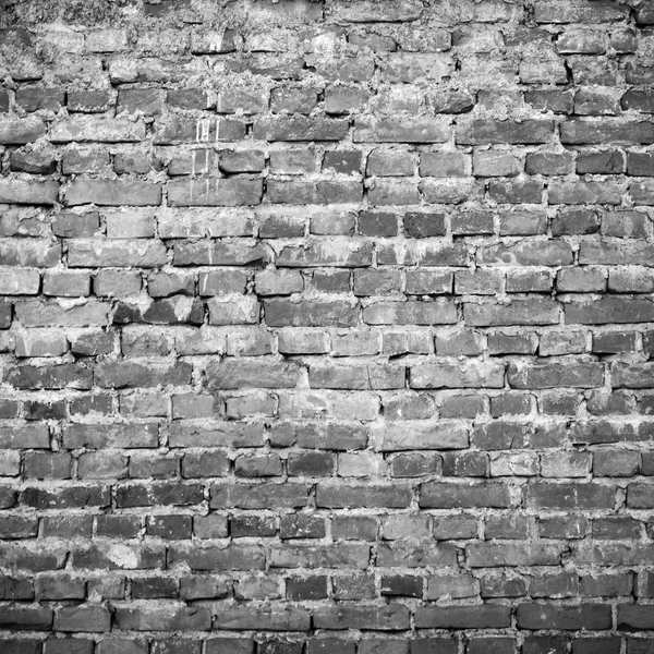 Surface de mur de brique — Photo