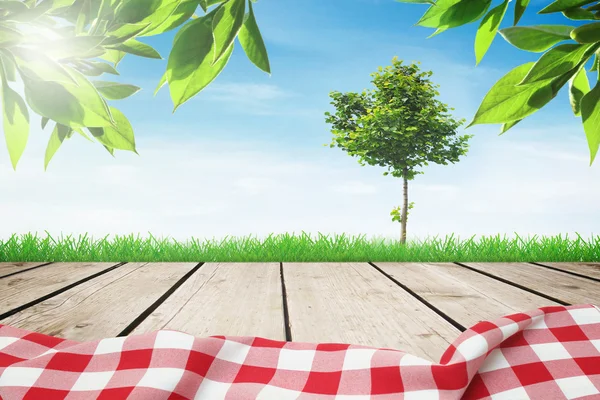 Picknick in der Natur mit Sonnenlicht Stockbild