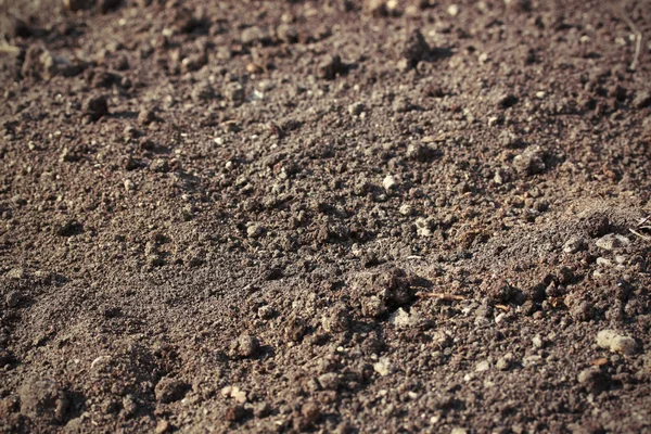 Soil wealthy background — Stock Photo, Image