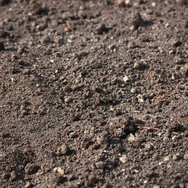 土壌豊かな背景 ロイヤリティフリーのストック画像