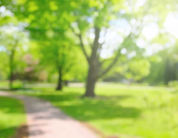 Frühlingspark verschwommen — Stockfoto