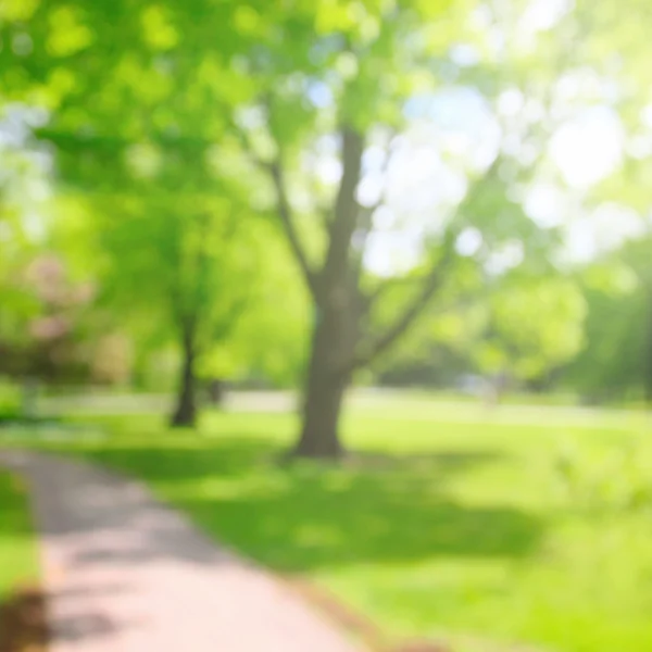 Bokeh park wiosny — Zdjęcie stockowe