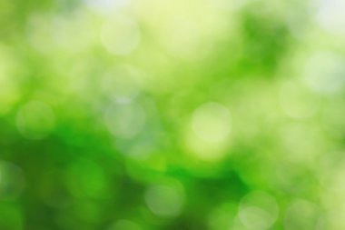 Bokeh büyüyen doğa