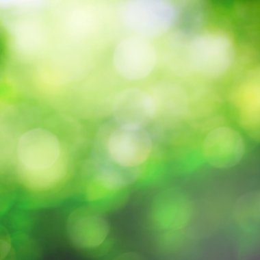 Bokeh büyüyen doğa