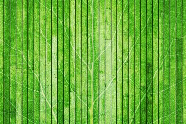 Yaprak dokusu ile panoları