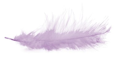 Heather çiçek ahşap üzerine