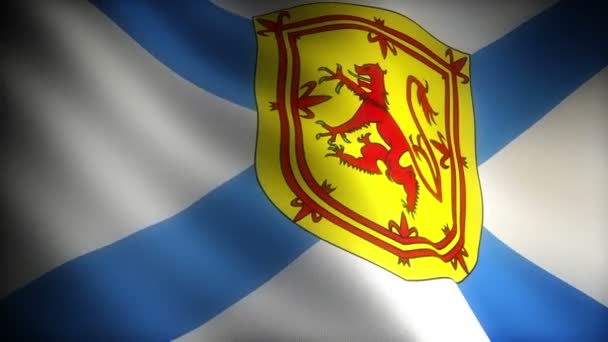 Σημαία Της Νέας Σκωτίας Χωρίς — Αρχείο Βίντεο