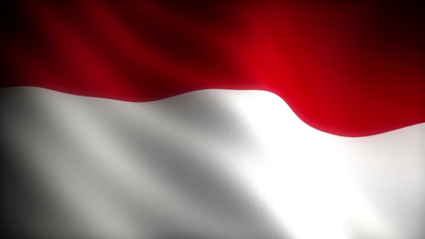 Indonesiens Flagga Sömlös — Stockvideo