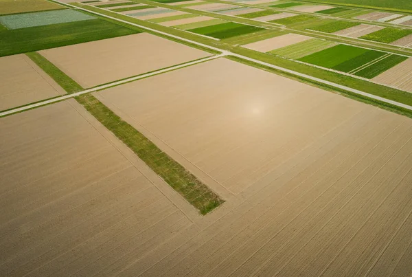 Experimental Field Strip Cultivation Method Produce — Stock Photo, Image